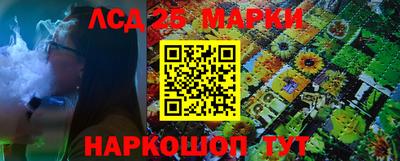 дурь Гай