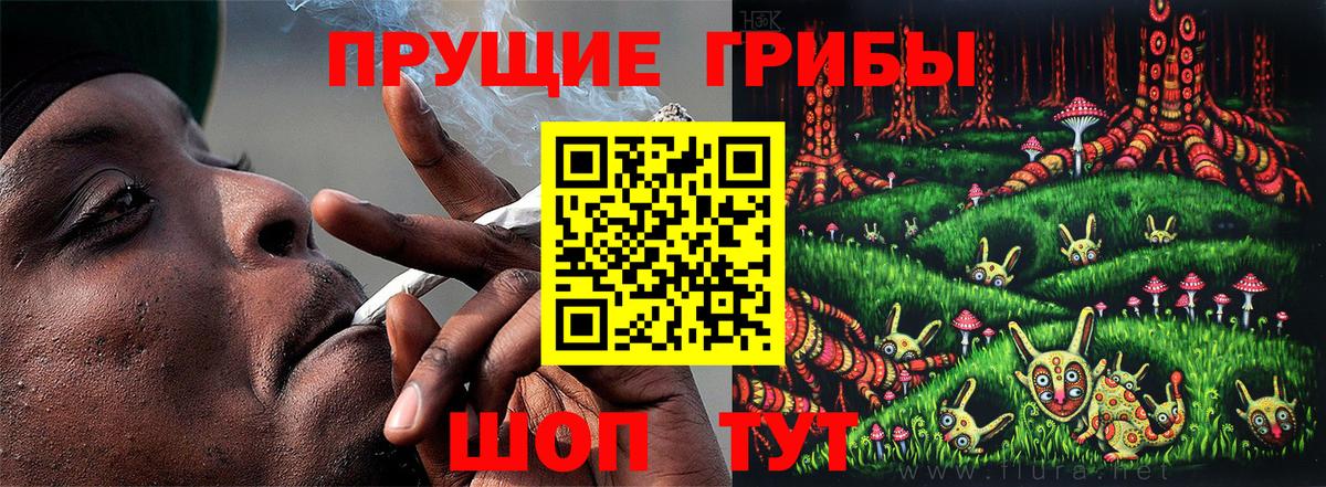 Псилоцибиновые грибы Cubensis  купить наркотик  Истра  Вход с VPN 